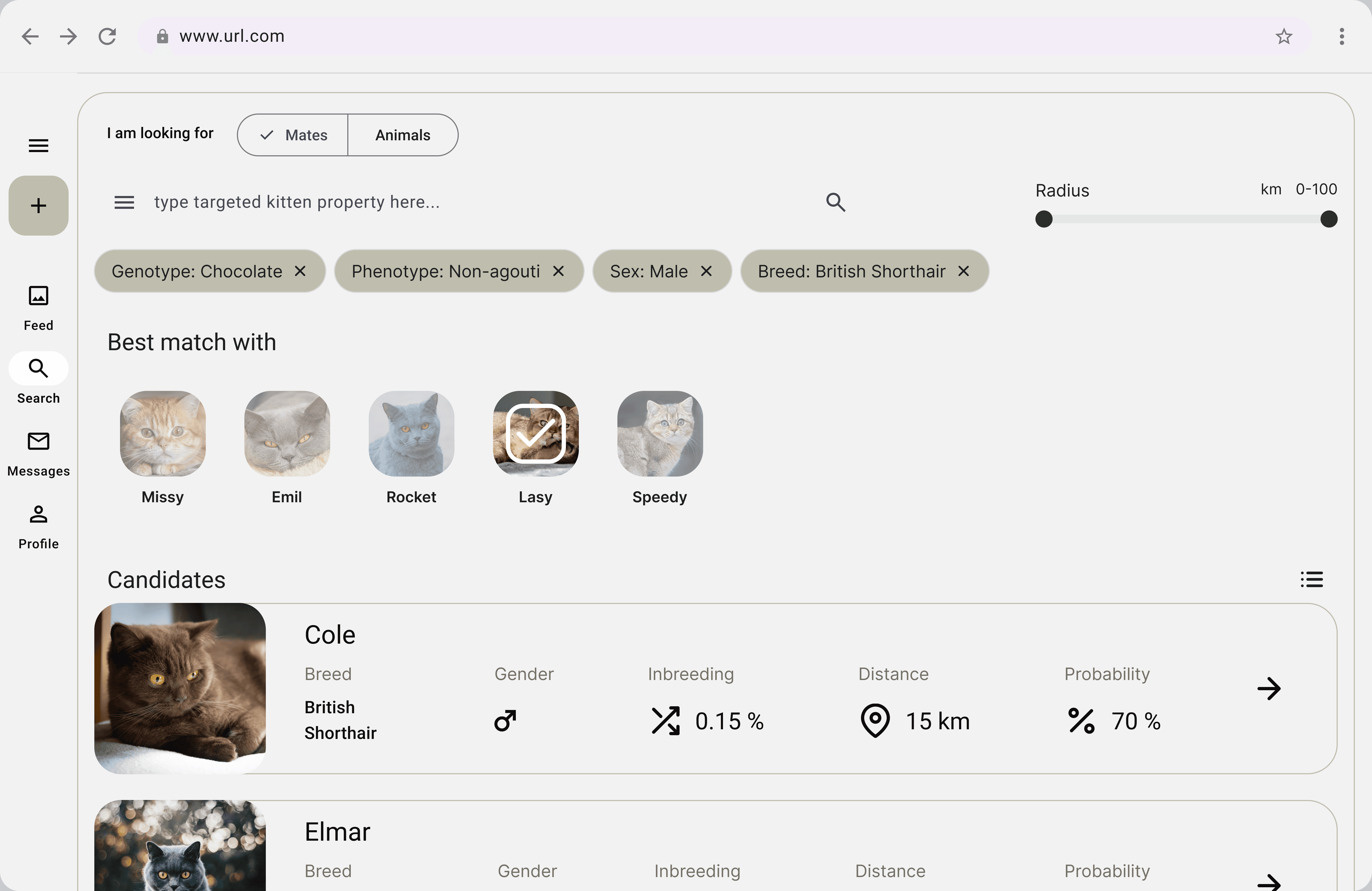 Preview Search